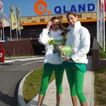 2009/04 Qlandia (SLO)